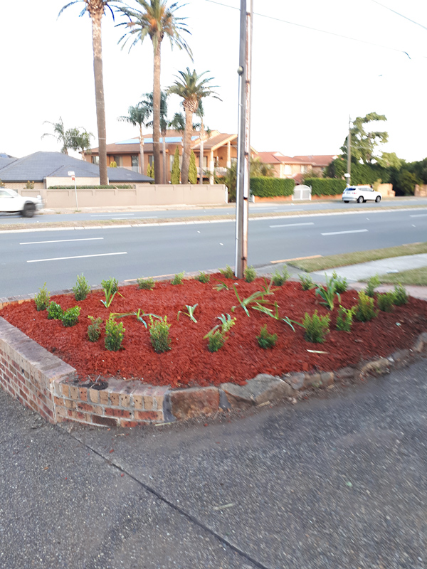 Mulching Garden Beds Sutherland Shire After Image