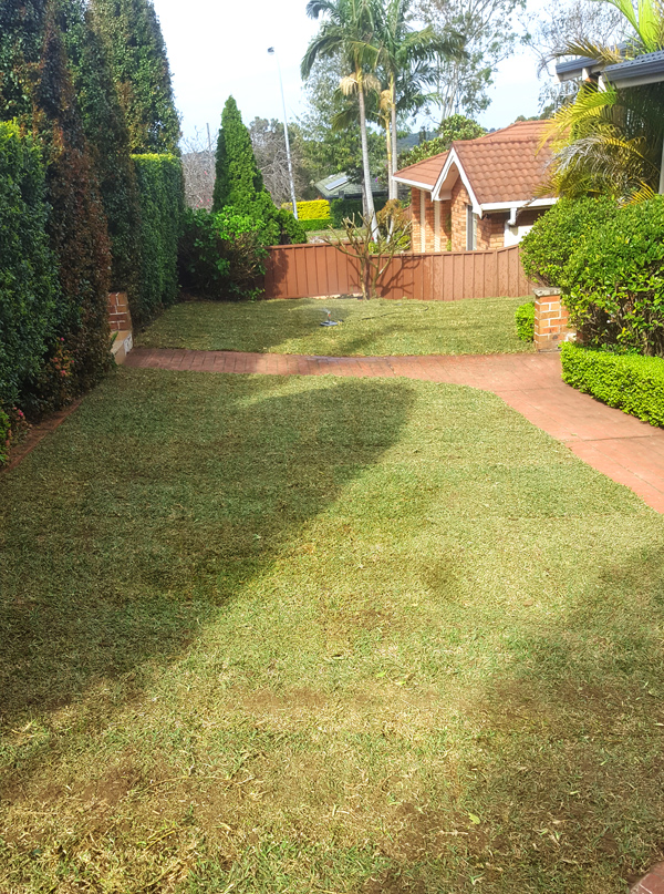 Lawn Renovations - After Image