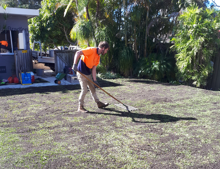 Lawn Top Dressing Sutherland Shire