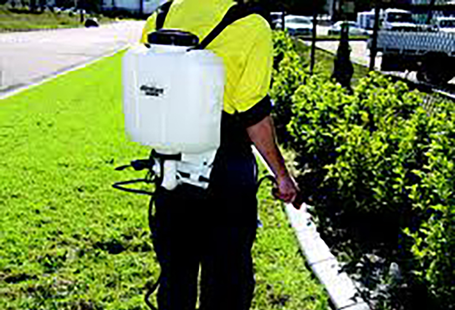 Weed control in lawn and garden sutherland shire image